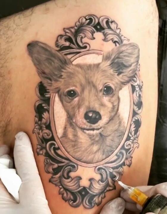 Cadela Luna com moldura ornamental
